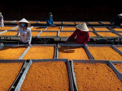 Nghề làm muối ớt Tây Ninh trở thành 'di sản văn hóa phi vật thể quốc gia'