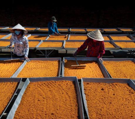 Nghề làm muối ớt Tây Ninh trở thành 'di sản văn hóa phi vật thể quốc gia'